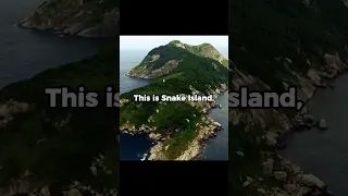 Snake island | One of the Deadliest Places on Earth #shorts