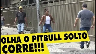 PEGADINHA - OLHA O PITBULL SOLTO! #DESAFIO 15