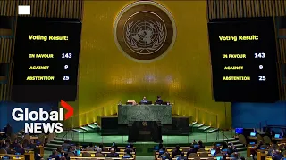 UN General assembly backs Palestinian bid to become full member