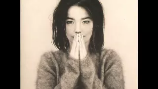 Bjork - Human behaviour