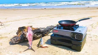 JETTY FISHING for the PRIZED FISH - catch and cook the proper way