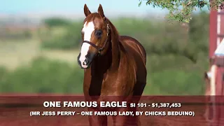 6666 Ranch - One Famous Eagle