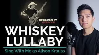 Whiskey Lullaby (Male Part Only - Karaoke) - Brad Paisley ft. Alison Krauss