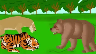 Tiger sabertooth tiger cave bear fight animation—all animation