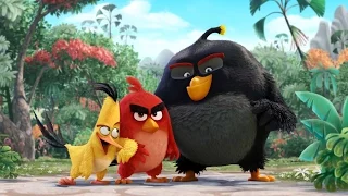 ANGRY BIRDS У КІНО / ANGRY BIRDS В КИНО. Трейлер 1 (український)