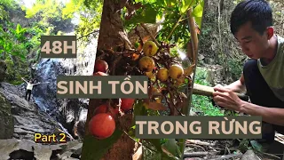 48H SINH TỒN TRONG RỪNG KHI KHÔNG CÓ LỬA ( phần kết)48 HOURS OF SURVIVING IN THE FOREST WITHOUT FIRE