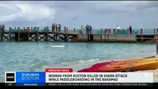 Woman from Boston killed in shark attack in the Bahamas