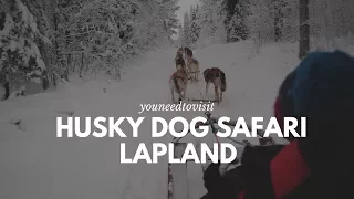 Husky Sledding on our Lapland Finland Adventure