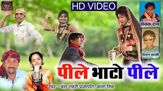 पीले भाटो पीले // pile bhato pile / New cg song / Bansh lahri prajapati & Kanta sing