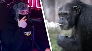 SwaggerSouls Would Smoke Weed With a Monkey