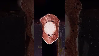 Crushing a Pencil in Close-up