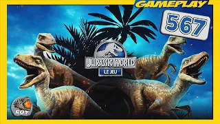 Ouverture PACK OR MASSIF ►JURASSIC WORLD: Le Jeu 567 - royleviking