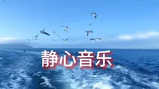 🔴 非常好聽👍2小時【放松心情的钢琴曲】早上最適合聽的輕音樂放鬆解壓 - 美妙的音樂 -純鋼琴輕音樂 - 輕音樂 睡覺 -放鬆音-Relaxing Piano