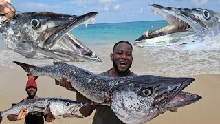 "How i Spearfished a 21LBS Giant Barracuda | Ocean Monster Encounter Tips and Techniques"