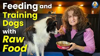 The Raw Feeding Guide To Training Your Dog With All Forms Of Treats #252 #podcast