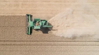 Фермеры Германии призывают власти выделить им помощь, чтобы пережить засуху