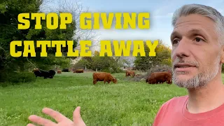 Stop Giving Cattle Away