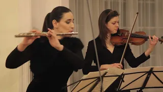 C. Ph. Stamitz: Flute Concerto in G major, op.29, I. Allegro Charity Concert