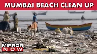 Mumbai Beach Cleanup: 250 Personnel Participate In Beach Cleaning Drive I The News