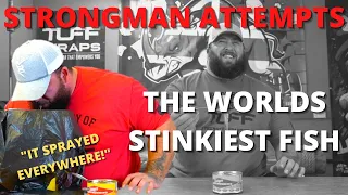 FERMENTED FISH CHALLENGE UK | STRONGMAN TRIES STINKY FISH EATING CHALLENGE