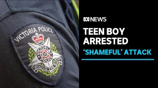 Teen arrested over alleged violent armed robbery | ABC News