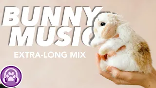 Click HERE to Relax Your Rabbit - 3 HOURS of Soothing Music