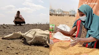 WARNING: GRAPHIC CONTENT - Millions face hunger in Horn of Africa, UN says