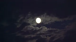 Moon from my window