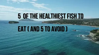 Top 5 Best Fish & Worst Fish to Eat