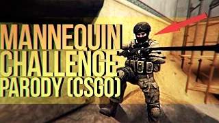 Mannequin challenge parody | Пародия на манекен челендж (CS:GO)