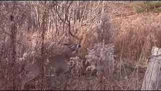 Hunting Whitetails in Nebraska's Sandhills - DDH TV Flashback