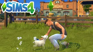 How To Shear Sheep To Get Wool (Guide) - The Sims 4