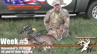 Big Bucks in New York & BBD in Arkansas while bow hunting