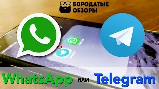 WhatsApp или Telegram?