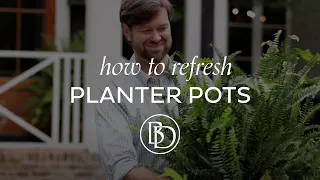 How to Quickly Refresh Planter Pots with James Farmer and Ballard Designs