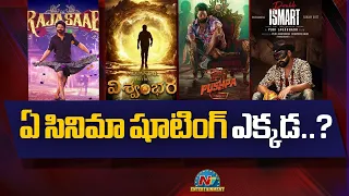 Tollywood Movies Shooting Latest Update..! | The Rajasaab | Pushpa 2 | Vishwambhara | NTV ENT