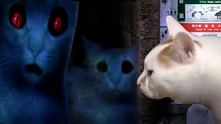 Tsugu No Hi / Neko - "Hopefully Nothing Happens to the Cat" ( Cat Horror Game )