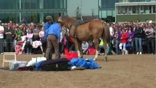 Dublin Horse Show Monty Roberts Not Standing to Mount RDS Dublin Horse Show 2010