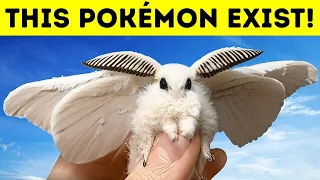 The Venezuelan Poodle Moth: Real-Life 'Pokemon' with a Soundproofing Fur Secret!