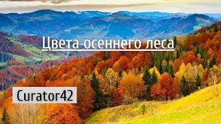 Цвета осеннего леса: терпены, каротиноиды, красители листвы