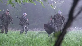 Turkey Hunting Call-Shy Gobblers in South Arkansas ("One is Better Than None")