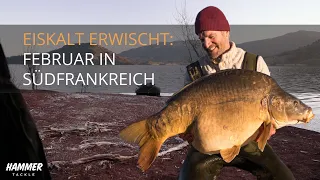 Eiskalt erwischt: Februar in Südfrankreich