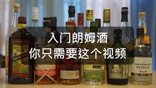 朗姆酒入门，只看这一个视频就够了 / Everything You Need to Know About Rum