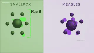 Understanding how viruses spread