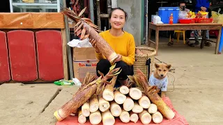 Harvesting Bamboo Shoots go market sell | Build Bamboo House For Chicken | Bamboo Fence.