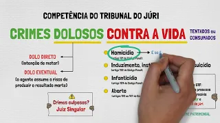 TRIBUNAL DO JÚRI: Como funciona? | Aula 01 | PROCESSO PENAL