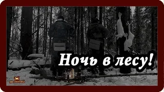 Охота на зайца. Ночь в лесу! Выпуск 16. Сезон 2018-2019г.