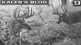 Scouting Public Land For Fall Bucks, Introducing Kaleb's New Intern Shea McTighe | Kaleb's Blog