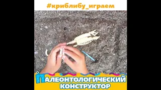 Палеонтологический конструктор