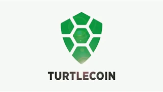 Turtlecoin Best Crypto Community 2019